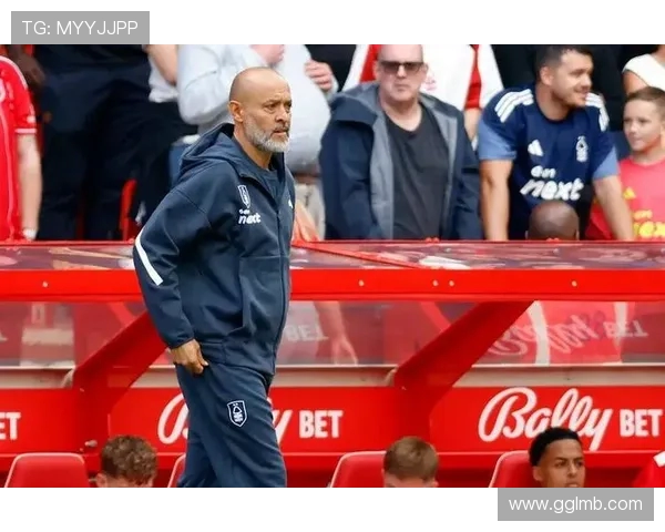 英超新纪录:森林成首支3个月内由3位主帅执教的球队 英超新纪录:森林成首支3个月内由3位主帅执教的球队